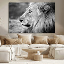 African Lion Wall Art Canvas Print – Majestic Wildlife