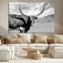 Cattle Wall Art Longhorn Cow Canvas Print