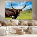 Longhorn and Cow Wall Art, Country Cow Wall Decor Canvas by MyGreatCanvas | Canvas Wall Art Prints | Photo Prints & Wall Decor