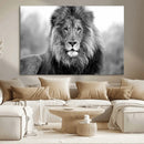 Black and White Lion Canvas Wall Art – Animal Print Artwork
