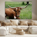 Longhorn Steer Canvas Wall Art – Rustic Nature Triptych
