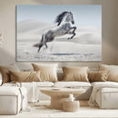 Prancing Horse Desert Large Wall Art Canvas Print – Majestic