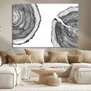 Abstract Large Tree Rings – Minimalist Black and White Wood