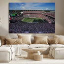 South Carolina Gamecocks Football Team Print - Columbia