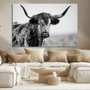 Texas Cow Longhorn Wall Art Canvas Print in Black and White