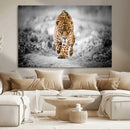 Jaguar Wall Art Canvas Print - Majestic Big Cat in Focused by MyGreatCanvas | Canvas Wall Art Prints | Photo Prints & Wall Decor