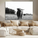 Black and White Highland Cow Wall Art Canvas Print | Rustic