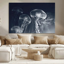 Jellyfish Wall Art Canvas Print, Modern Abstract Jellyfish