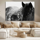 Black Horse in Snow Canvas Print | Winter Horse Wall Art |