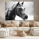 Horse Canvas Print - Winter Horse Snow Wall Art Canvas Print