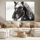 Framed Black and White Horse Wall Art | Ready to Hang and by MyGreatCanvas | Canvas Wall Art Prints | Photo Prints & Wall Decor