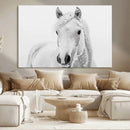 Majestic White Horse Wall Art | Ready to Hang and Framed |