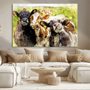 Curious Cows Farmhouse Wall Art | Ready to Hang and Framed by MyGreatCanvas | Canvas Wall Art Prints | Photo Prints & Wall Decor