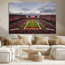 Florida Tampa Raymond James Stadium Wall Art Canvas Print -