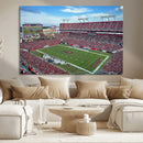 Florida Tampa Raymond James Stadium Wall Art Canvas Print -