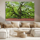 Framed Angel Oak Tree Wall Art - 3-Panel Canvas Prints,