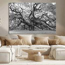 Black White Angel Oak Tree Wall Art - Timeless