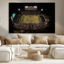 Wake Forest University Demon Deacons Canvas Printi, Football