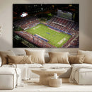 Florida Atlantic University Owls Canvas Print, Football Team by MyGreatCanvas | Canvas Wall Art Prints | Photo Prints & Wall Decor