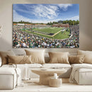 University of Charlotte 49ers Football Team Print - by MyGreatCanvas | Canvas Wall Art Prints | Photo Prints & Wall Decor
