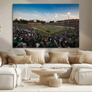 University of Charlotte 49ers Football Team Print - by MyGreatCanvas | Canvas Wall Art Prints | Photo Prints & Wall Decor
