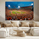 Clemson University Tigers Football Team Print - Clemson