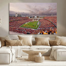 Iowa State University Cyclones Football Team Print - Ames