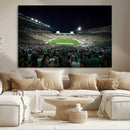 Framed Michigan State Spartans Football Team Print - East