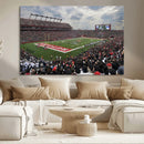 Rutgers Scarlet Knights Football Team Print - SHI Stadium,
