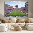 TCU Horned Frogs Football Team Print - Fort Worth Amon G.