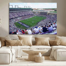 The Texas Christian University TCU Horned Frogs Football