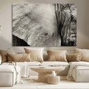 Elephant Wall Art Canvas Print