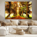 Sunshine in Forest and Trees Wall Art Canvas Print by MyGreatCanvas | Canvas Wall Art Prints | Photo Prints & Wall Decor