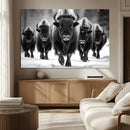 American Bison Art | Buffalo Herd Wall Art Canvas Print, BW