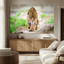 Leopard on the Prowl - Stunning Large Framed Leopard Wall