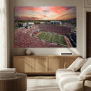 Indiana Memorial Stadium Wall Art Canvas Print, Framed