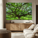 Oak Tree Wall Art Print, Forest Canvas Wall Art for Home and by MyGreatCanvas | Canvas Wall Art Prints | Photo Prints & Wall Decor