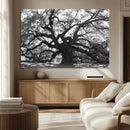 Ancient Oak Wall Art Canvas Print – Gnarled Tree Twisted by MyGreatCanvas | Canvas Wall Art Prints | Photo Prints & Wall Decor