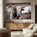 Texas Longhorn Wall Art Canvas Print – Framed Spotted Bull