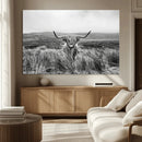 Monochrome Highland Cow Wall Art Canvas Print – Framed by MyGreatCanvas | Canvas Wall Art Prints | Photo Prints & Wall Decor