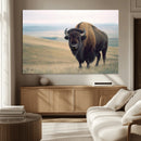 Bison Wall Art Canvas Print – Framed Buffalo American Bison