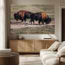 Bison Wall Art Canvas Print – Framed Western Wildlife Modern