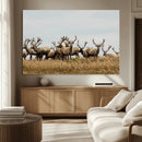 Elk Herd Wall Art Canvas Print – Framed Wildlife Photography