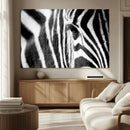 Zebra Stripes Wall Art Canvas Print – Black White Contrast by MyGreatCanvas | Canvas Wall Art Prints | Photo Prints & Wall Decor