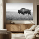Black White Bison Canvas Wall Art, Rustic American Buffalo by MyGreatCanvas | Canvas Wall Art Prints | Photo Prints & Wall Decor