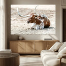Majestic Longhorn Wall Art Canvas Print – Resting on Sunlit by MyGreatCanvas | Canvas Wall Art Prints | Photo Prints & Wall Decor
