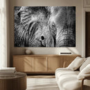 Wild Old Elephant Wall Art Canvas Print