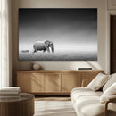 Elephand and Zebra Wall Art Canvas Print, Modern Artwork