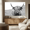 Newfoundland Cow Art Wall Art, Black White Cow Art Wall Art