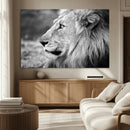 African Lion Wall Art Canvas Print – Majestic Wildlife